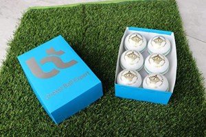 BT White Cricket Ball - Pack of 6 Leather Balls