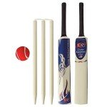 Junior Cricket Bat and Stumps Gift Set