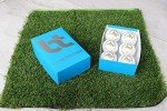 BT White Cricket Ball - Pack of 6 Leather Balls