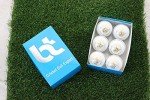 BT White Cricket Ball - Pack of 6 Leather Balls
