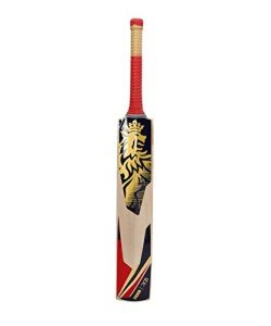 Puma RCB City Cricket Bat