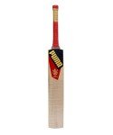 Puma RCB City Cricket Bat