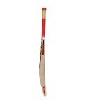 Puma RCB City Cricket Bat