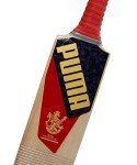 Puma RCB City Cricket Bat