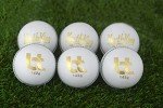 BT White 142g Leather Cricket Balls - Pack of 6