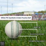 55 TRENDS 3-Pack Synthetic PVC Cricket Practice Balls