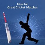 SportsAxis Grade 1 Kashmir Willow Cricket Bat
