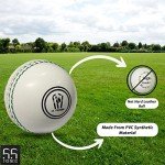 55 TRENDS 3-Pack Synthetic PVC Cricket Practice Balls