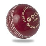 Premium Gold Cricket Ball for Junior Play