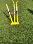SS Cricket Full Size Plastic Stumps with Bails