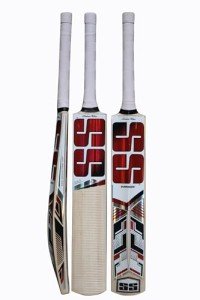 SS Kashmir Willow Cricket Bat with Protection Cover