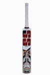 SS Kashmir Willow Cricket Bat with Protection Cover