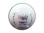 CE Cricket Fireworks - Pack of 2 White Balls