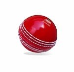 Jaspo Incrediball Soft T20 Cricket Training Ball