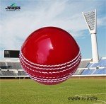 Jaspo Incrediball Soft T20 Cricket Training Ball