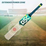 DSC Belter Kashmir Willow Cricket Bat - Short Handle