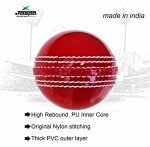 Jaspo Incrediball Soft T20 Cricket Training Ball