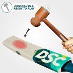 DSC Belter Kashmir Willow Cricket Bat - Short Handle