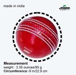 Jaspo Incrediball Soft T20 Cricket Training Ball