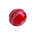 Jaspo Incrediball Soft T20 Cricket Training Ball