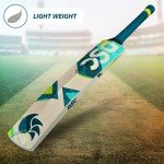 DSC Belter Kashmir Willow Cricket Bat - Short Handle