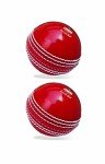 Jaspo Incrediball Soft T20 Cricket Training Ball