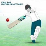 DSC Belter Kashmir Willow Cricket Bat - Short Handle