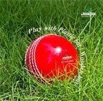 Jaspo Incrediball Soft T20 Cricket Training Ball