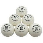 Mozi Sports Soft Training Cricket Balls - White