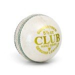 Pro Impact White Cricket Ball for Clubs