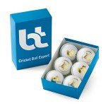 Bt Cricket Expert White Leather Balls - Pack of 6