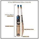 SS Kashmir Willow Cricket Bat with Cover (Yuvi 20/20)