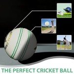 Bt Cricket Expert White Leather Balls - Pack of 6
