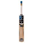 SS Kashmir Willow Cricket Bat with Cover (Yuvi 20/20)