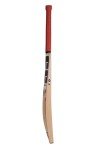 SS T20 Legend Club Kashmir Willow Cricket Bat - Size 4