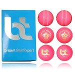 BT Pink Leather Cricket Balls - Pack of 6