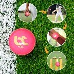 BT Pink Leather Cricket Balls - Pack of 6