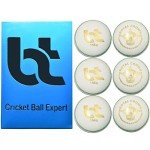 Bt Cricket Expert White Leather Balls - Pack of 6