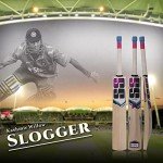 SS Slogger Kashmir Willow Cricket Bat + Cover
