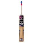 SS Slogger Kashmir Willow Cricket Bat + Cover