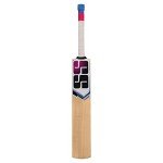 SS Slogger Kashmir Willow Cricket Bat + Cover