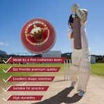 BT Red Cricket Ball - Pack of 6 Leather Balls