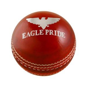 Premium Leather Cricket Balls for All Matches