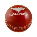 Premium Leather Cricket Balls for All Matches