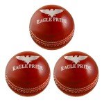 Premium Leather Cricket Balls for All Matches