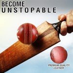 Premium Leather Cricket Balls for All Matches