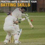 Premium Leather Cricket Balls for All Matches