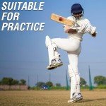 Premium Leather Cricket Balls for All Matches