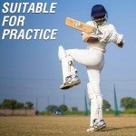 Club-Quality Hand-Stitched Cricket Hard Balls