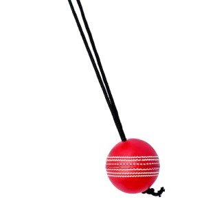 Naqqash Sports Willow Cricket Knocking Practice Ball
